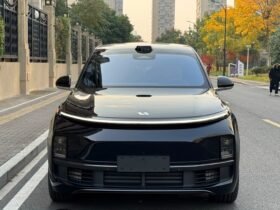 Li Auto L9